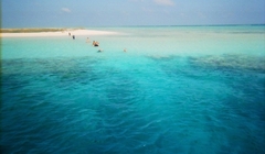 photo (16)